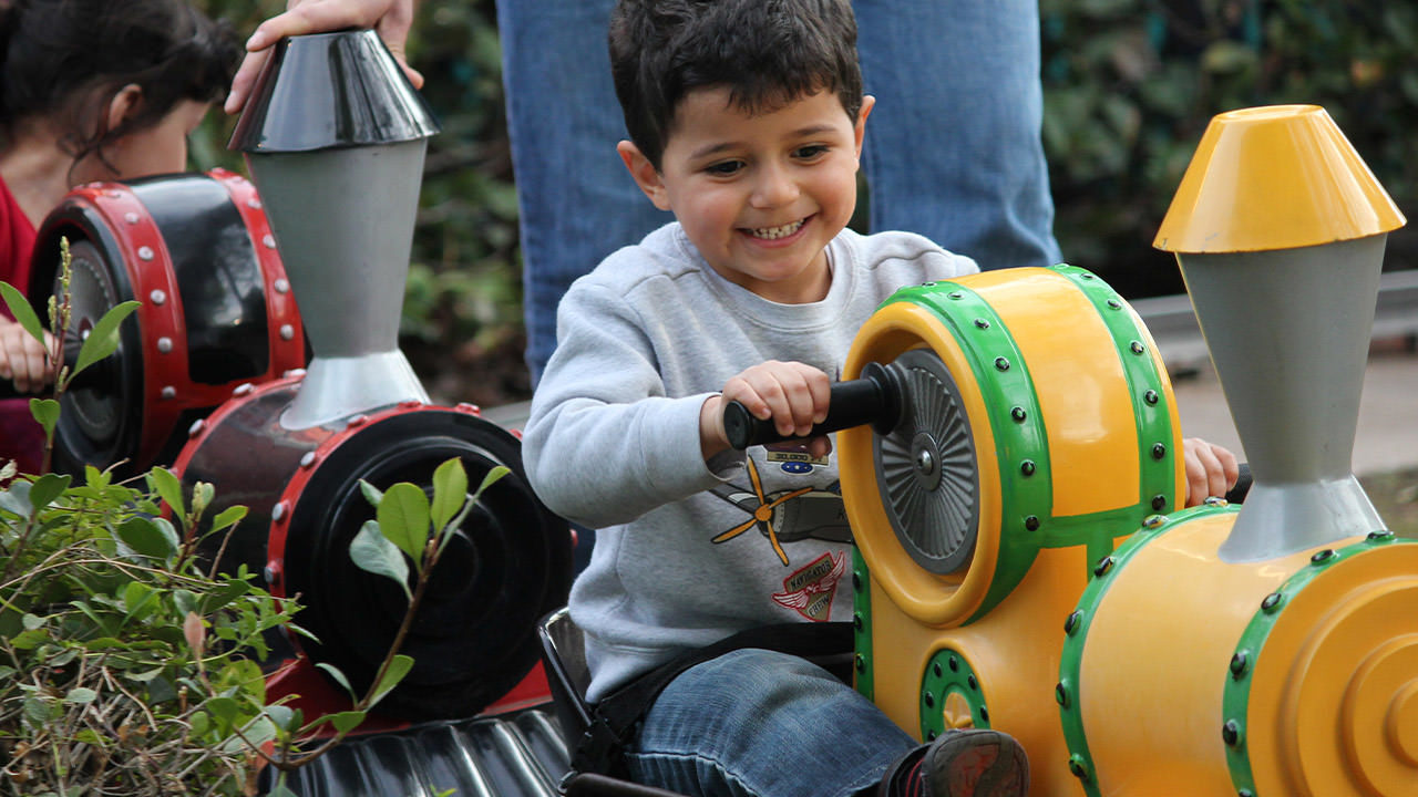 The Big Adventure Playground