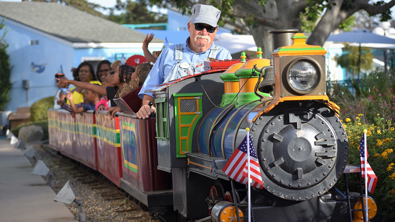 Adventure City Express Train