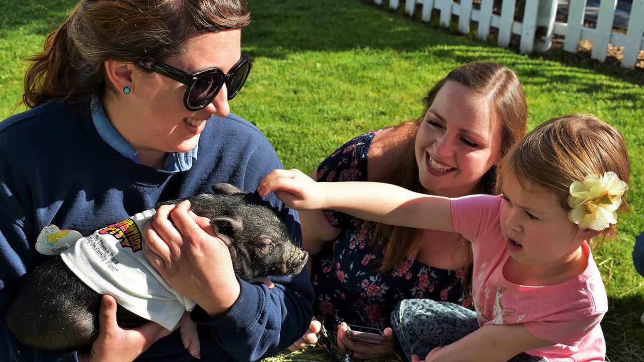 Adventure City Amusement Park Petting Farm